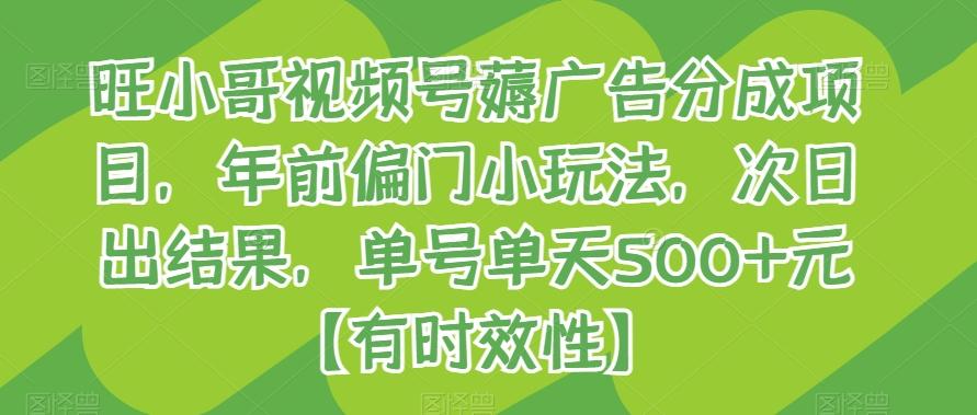 旺小哥视频号薅广告分成项目，年前偏门小玩法，次日出结果，单号单天500+元【有时效性】-创薯资源