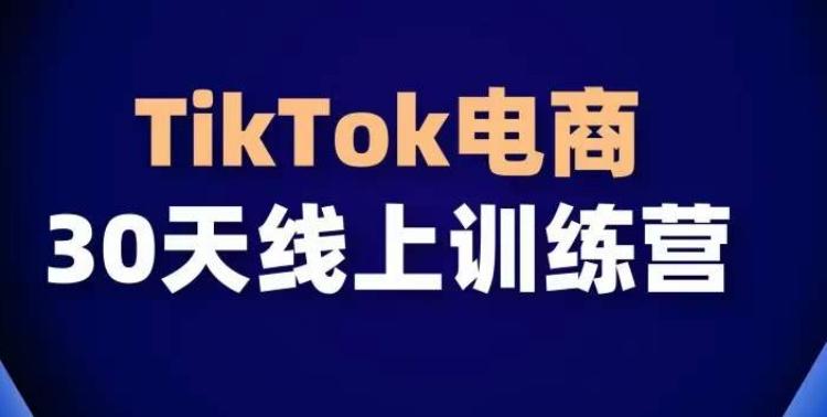 TikTok电商带货30天线上课，不可错过的全球流量洼地！-创薯资源