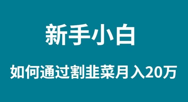 (9308期)新手小白如何通过割韭菜月入 20W-创薯资源