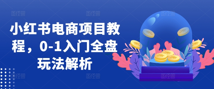 小红书电商项目教程，0-1入门全盘玩法解析-创薯资源