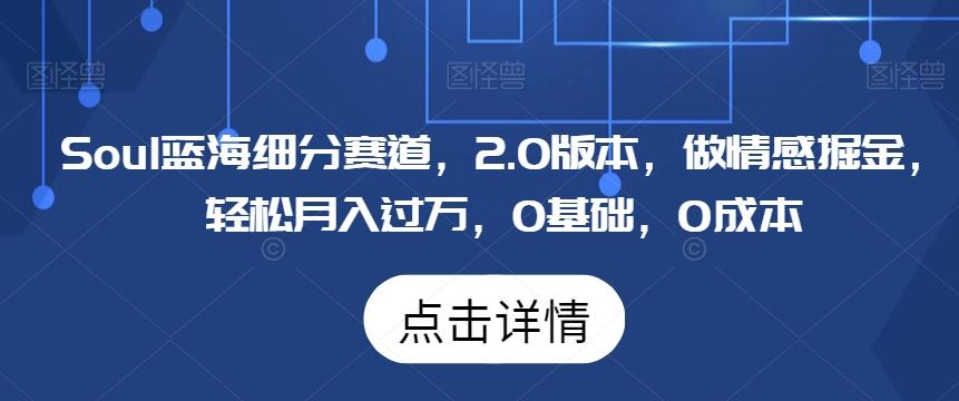 Soul蓝海细分赛道，2.0版本，做情感掘金，轻松月入过万，0基础，0成本-创薯资源