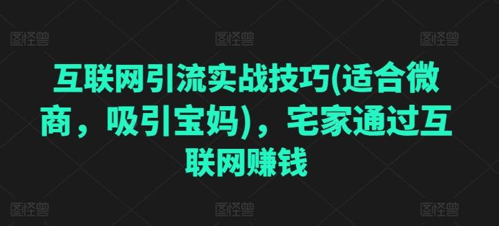 互联网引流实战技巧(适合微商，吸引宝妈)，宅家通过互联网赚钱-创薯资源