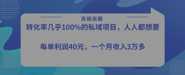 转化率最高的私域项目，每单利润40-50米，月入过1w-创薯资源
