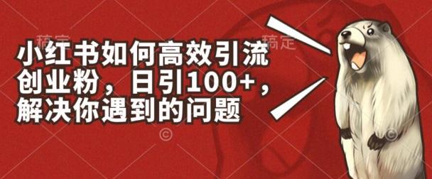 小红书如何高效引流创业粉，日引100+，解决你遇到的问题【揭秘】-创薯资源
