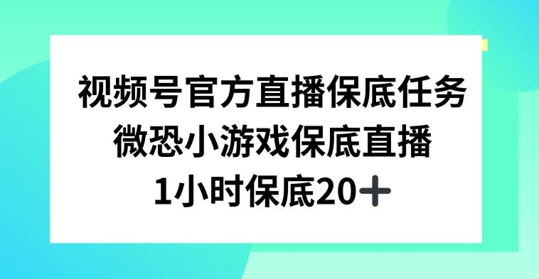 视频号直播任务，微恐小游戏，1小时20+【揭秘】-创薯资源