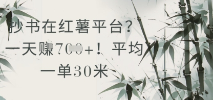 抄书在小红薯平台？平均一单30米，一天收益几张！-创薯资源