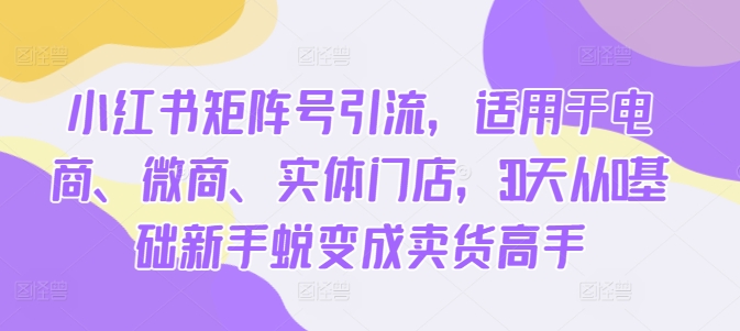 小红书矩阵号引流，适用于电商、微商、实体门店，30天从0基础新手蜕变成卖货高手-创薯资源