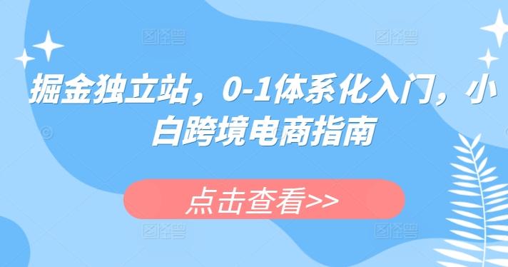 掘金独立站，0-1体系化入门，小白跨境电商指南-创薯资源