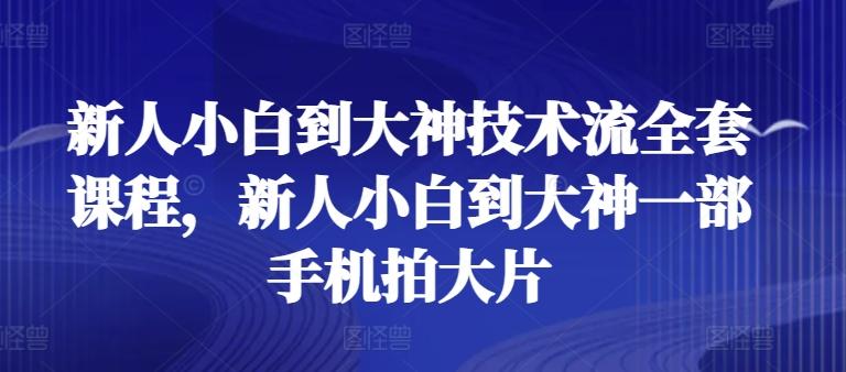 新人小白到大神技术流全套课程，新人小白到大神一部手机拍大片-创薯资源