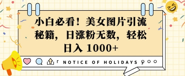 小白必看，美女图片引流秘籍，日涨粉无数，轻松日入几张【揭秘】-创薯资源