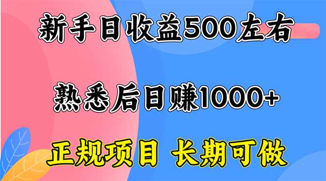 新手日收益500+ 正规项目 长期可做-创薯资源