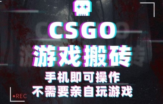 CSGO游戏挂G捡漏，单日扫货5张+，年底小高峰上车可吃肉，手机即可操作，兼职副业创业网创【揭秘】-创薯资源