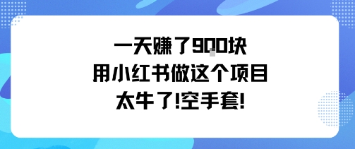 一天挣了9张用小红书做这个项目太牛了，空手套-创薯资源
