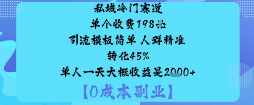 私域冷门赛道:单个收费198米引流模板简单人群精准转化45%单人一天大概收益是1k+-创薯资源