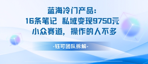 蓝海项目：16条笔记私域变现9750米小众赛道操作的人不多-创薯资源