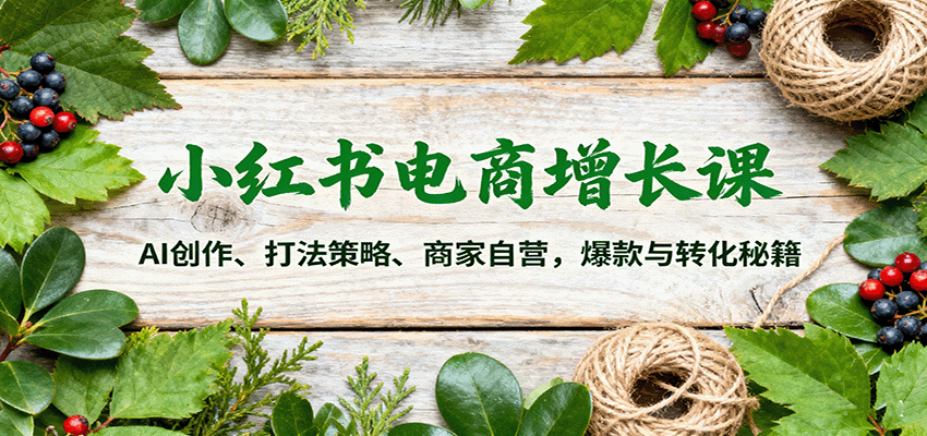 小红书电商增长课：AI创作、打法策略、商家自营，爆款与转化秘籍-创薯资源