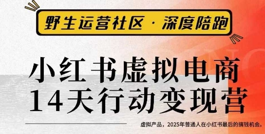小红书虚拟电商14天变现训练营3.0，​虚拟产品，2025年普通人在小红书最后的搞钱机会-创薯资源