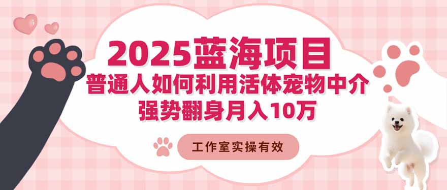 2025蓝海项目:普通人如何利用活体宠物中介,强势翻身月入10万-创薯资源