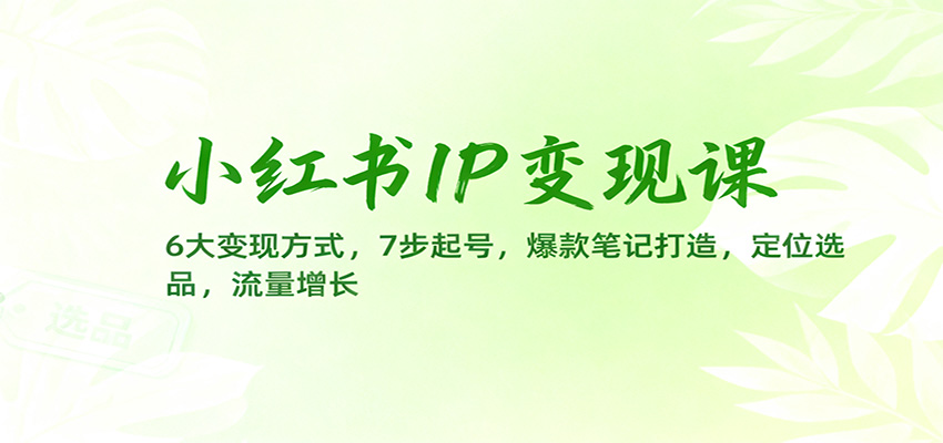 小红书IP变现课：6大变现方式，7步起号，爆款笔记打造，定位选品，流量增长-创薯资源