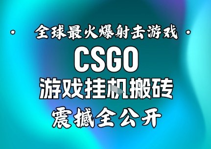 【年底大揭秘】基于全球最火爆的射击CSGO游戏挂G搬砖，日入5张+，震撼公开-创薯资源