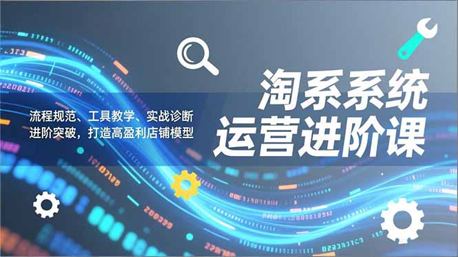 淘系系统运营进阶课2.0，流程规范、工具教学、实战诊断，进阶突破，打造高盈利店铺模型-创薯资源