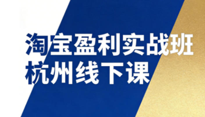 淘宝盈利实战班杭州线下课12月26-28日(音频+字幕)，帮你掌握SOP流程+12门核心技术-创薯资源