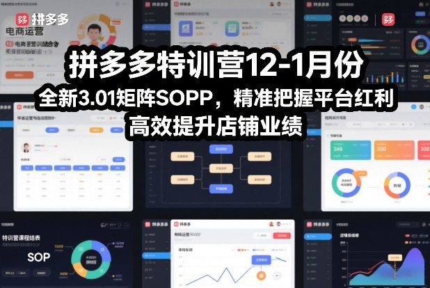 拼多多特训营12-1月份，全新3.01矩阵Sop，精准把握平台红利，高效提升店铺业绩-创薯资源