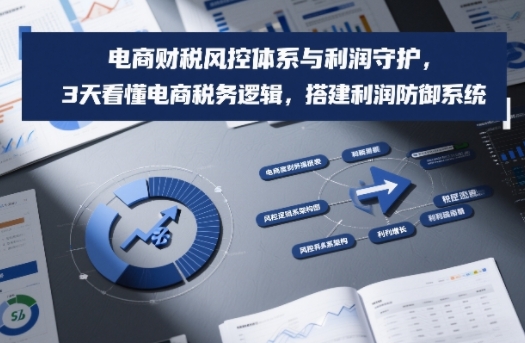 电商财税风控体系与利润守护，3天看懂电商税务逻辑，搭建利润防御系统-创薯资源