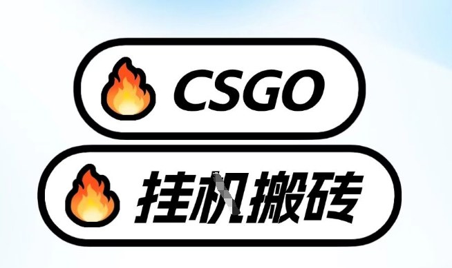 真全网独家CSGO挂G，最新玩法,单日捡漏1K+，不用电脑，不用打游戏【揭秘】-创薯资源