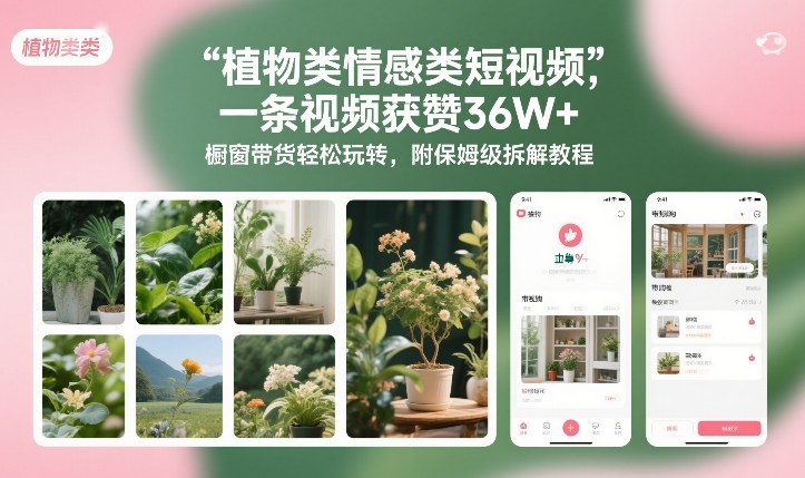 植物类情感类短视频，一条视频获赞36W+，橱窗带货轻松玩转，附保姆级拆解教程-创薯资源
