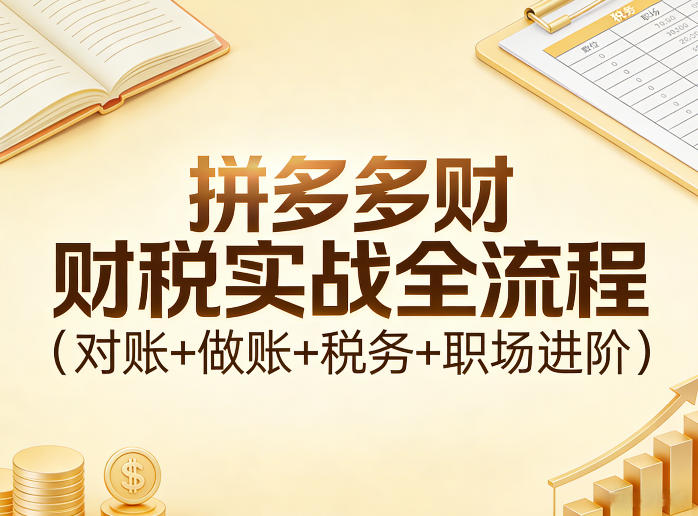 拼多多财税实战全流程(对账+做账+税务+职场进阶)-创薯资源