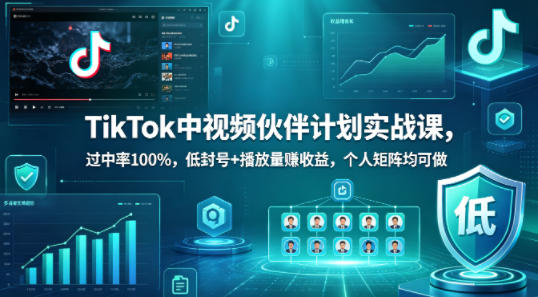 TikTok中视频伙伴计划实战课，过中率100%，低封号+播放量賺收益，个人矩阵均可做-创薯资源