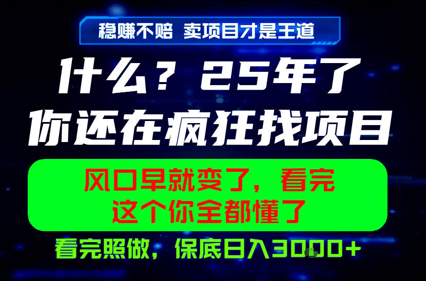26年，请不要疯狂的找项目做了！卖项目才是真的稳賺不赔，看完照做，保底日入1k+【揭秘】-创薯资源