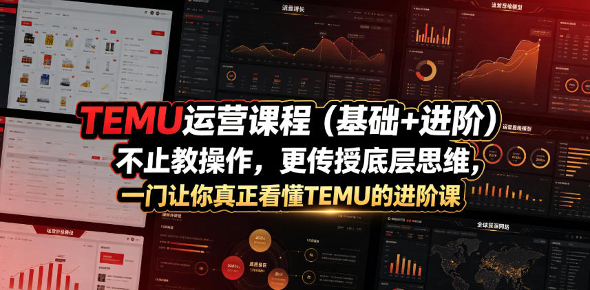 TEMU运营课程(基础+进阶)，不止教操作，更传授底层思维，一门让你真正看懂TEMU的进阶课-创薯资源