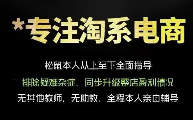 松鼠会电商VIP课程，从基础布局到高阶优化，助你掌握淘宝运营逻辑，提升店铺流量与转化(更新0823)-创薯资源