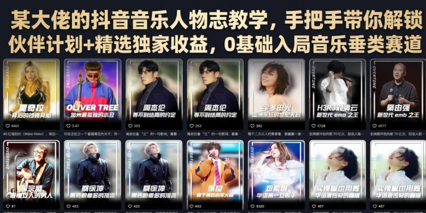 某大佬的抖音音乐人物志教学，手把手带你解锁伙伴计划+精选独家收益，0基础入局音乐垂类赛道-创薯资源