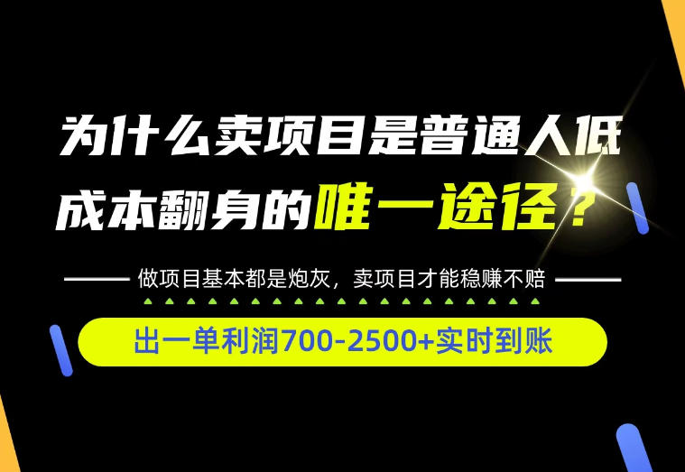 普通人如何靠互联网賺取自己的第一桶金！全类目实操型教学，看完你全都懂了！【揭秘】-创薯资源