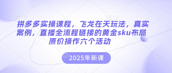 拼多多实操课程，飞龙在天玩法，真实案例，直播全流程链接的黄金sku布局原价操作六个活动-创薯资源