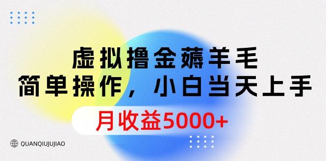 (9864期)虚拟撸金薅羊毛，简单操作，小白当天上手，月收益5000+-创薯资源
