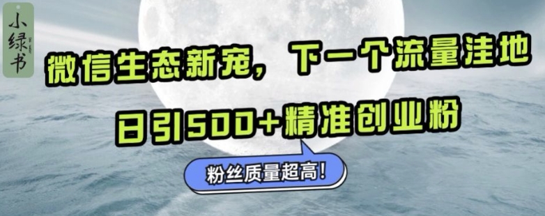 微信生态新宠小绿书：下一个流量洼地，日引500+精准创业粉，粉丝质量超高-创薯资源