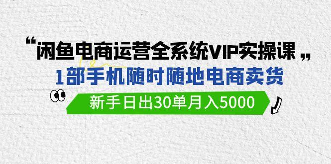 (9547期)闲鱼电商运营全系统VIP实战课，1部手机随时随地卖货，新手日出30单月入5000-创薯资源
