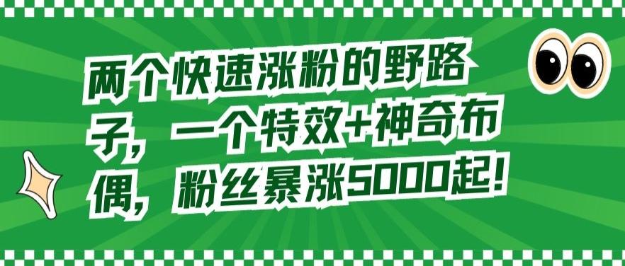 两个快速涨粉的野路子，一个特效+神奇布偶，粉丝暴涨5000起【揭秘】-创薯资源