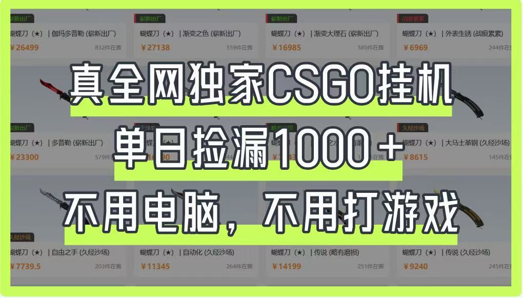真全网独家CSGO挂机，单日捡漏1000+，不用电脑，不用养号-创薯资源