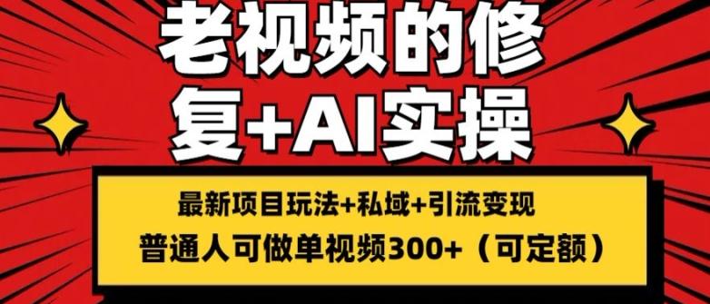 修复老视频的玩法，搬砖+引流的变现(可持久)，单条收益300+【揭秘】-创薯资源