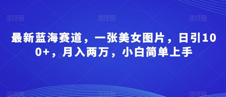最新蓝海赛道，一张美女图片，日引100+，月入两万，小白简单上手-创薯资源