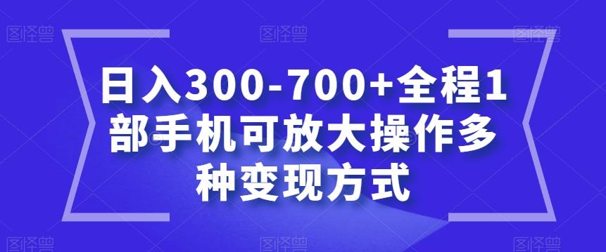 日入300-700+全程1部手机可放大操作多种变现方式【揭秘】-创薯资源