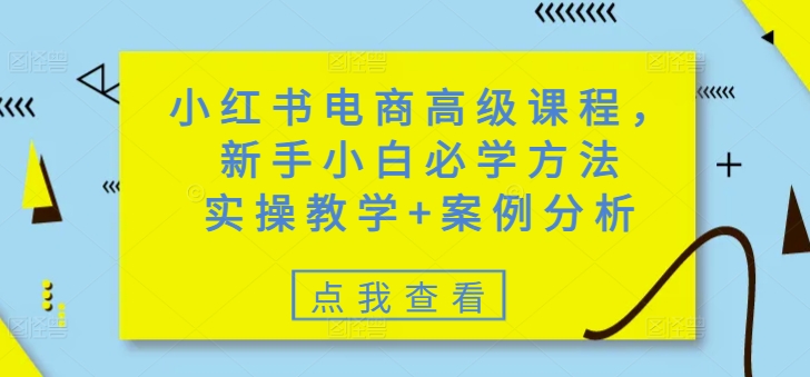小红书电商高级课程，新手小白必学方法，实操教学+案例分析-创薯资源