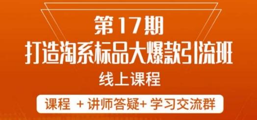 南掌柜-第17期打造淘系标品大爆款，5天线上课-创薯资源