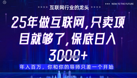 什么！25年你还在找项目做？风口早就变了，卖项目才是稳挣不赔【揭秘】-创薯资源
