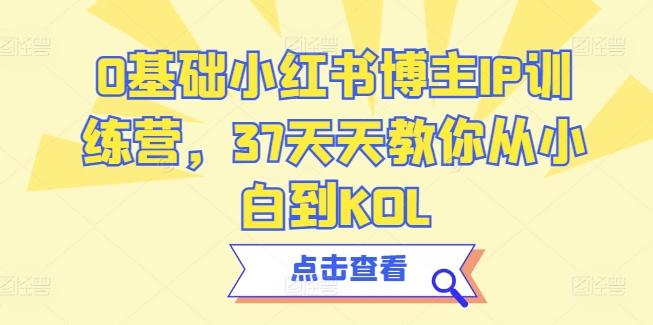 0基础小红书博主IP训练营，37天天教你从小白到KOL-创薯资源